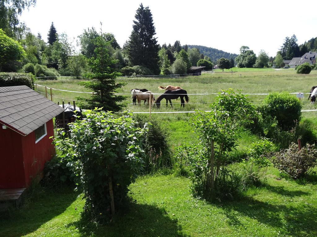 Ferienwohnung Mattenweg 1A Hinterzarten Exterior foto